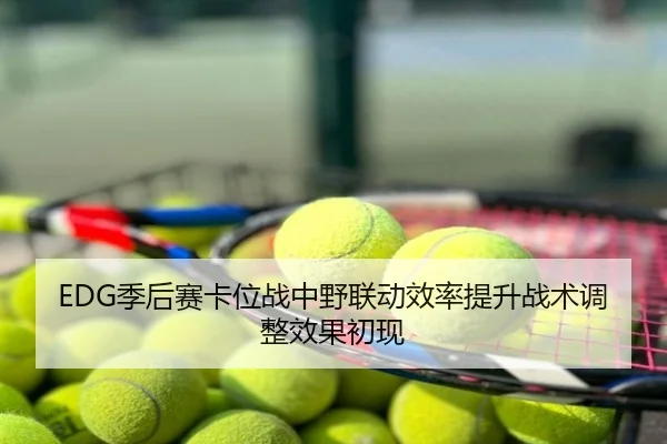 EDG季后赛卡位战中野联动效率提升战术调整效果初现